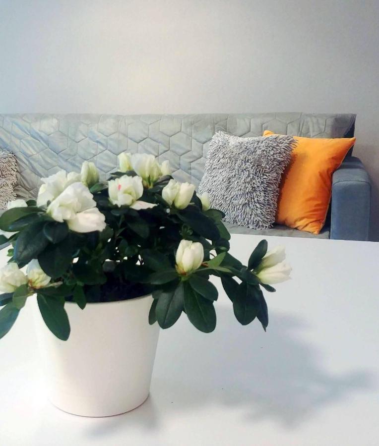 Bel Mare Wyspa, Apartament Z Parkingiem Gratis Мендзыздрое Экстерьер фото